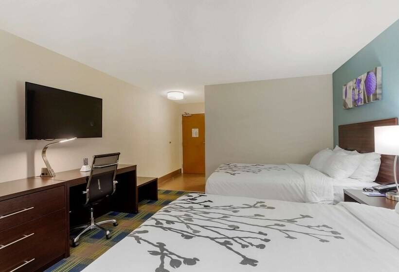 带2个双人床的标准工作室, Sleep Inn & Suites Smyrna   Nashville