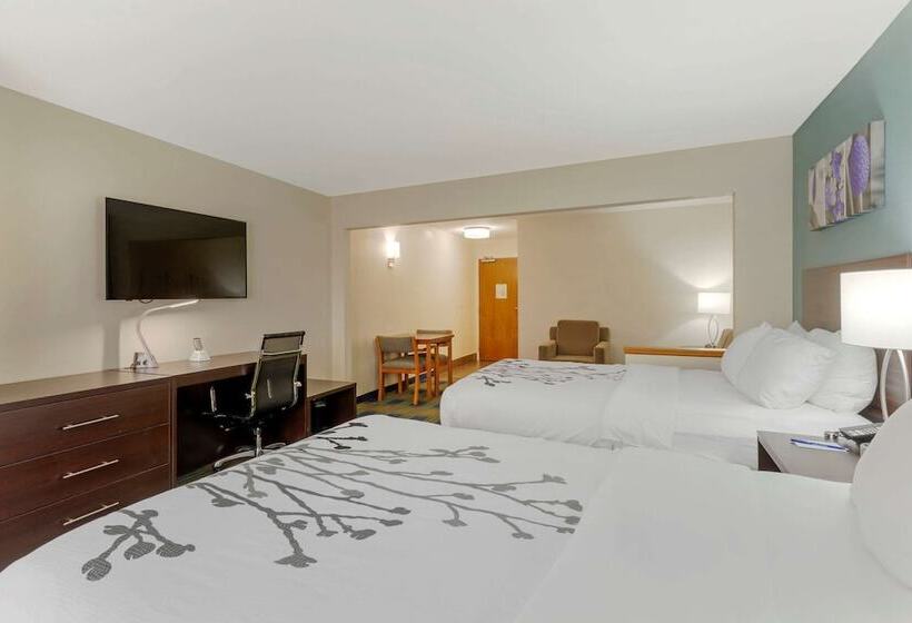 套房, Sleep Inn & Suites Smyrna   Nashville