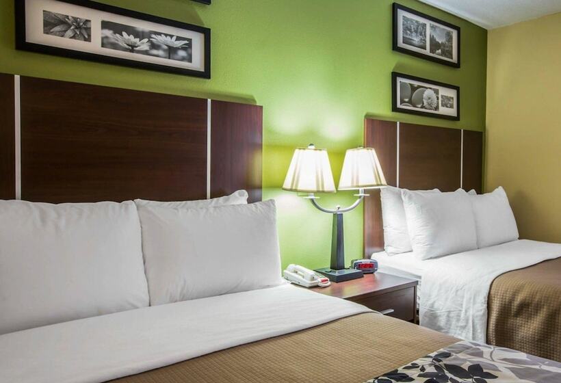 Номер Стандарт 2 Двуспальные Кровати, Sleep Inn Asheville  Biltmore West