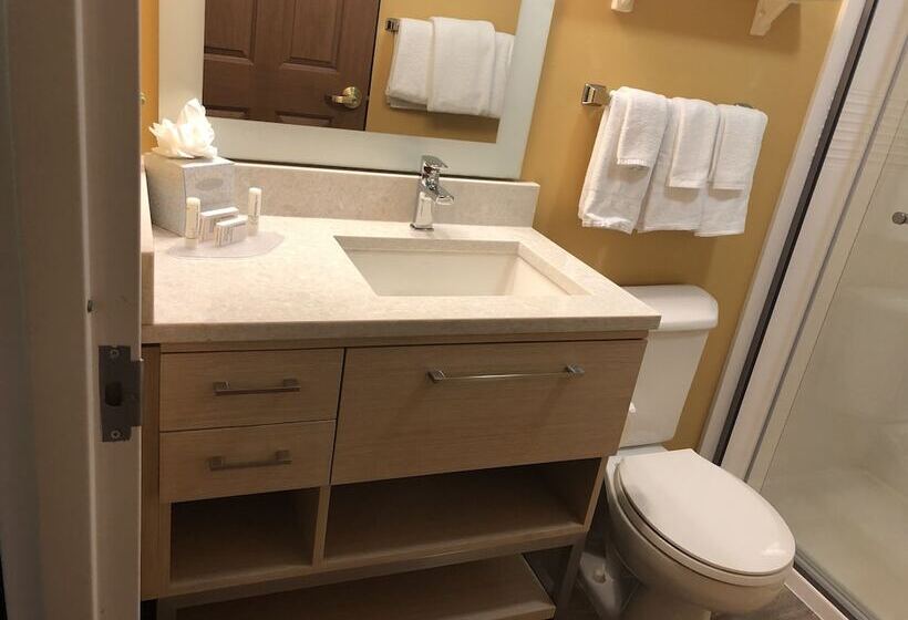 Люкс, Towneplace Suites Tampa North/i75 Fletcher