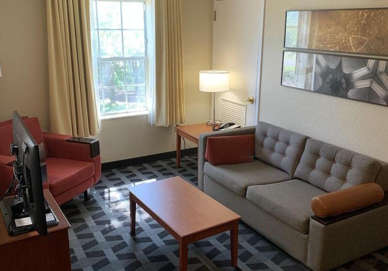 Люкс, Towneplace Suites Tampa North/i75 Fletcher