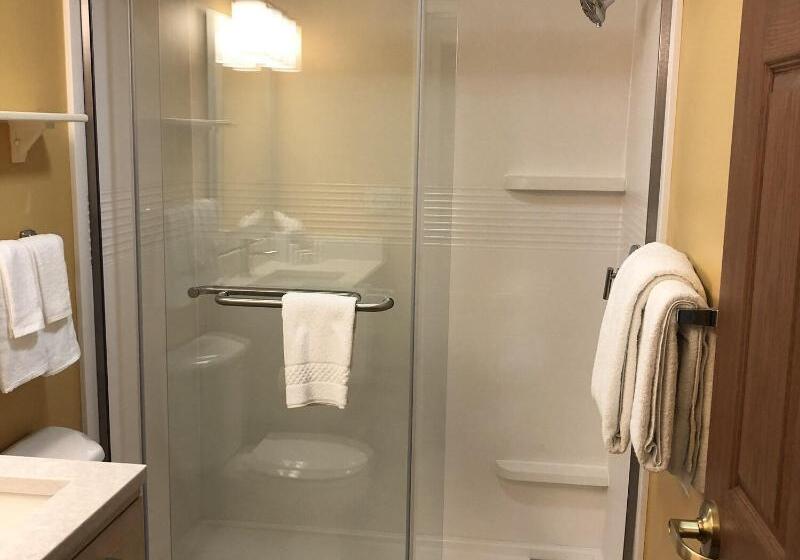 Люкс, Towneplace Suites Tampa North/i75 Fletcher