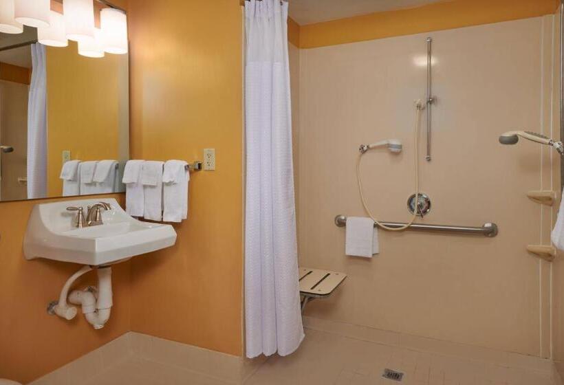 Студия Стандарт, Towneplace Suites Tampa North/i75 Fletcher