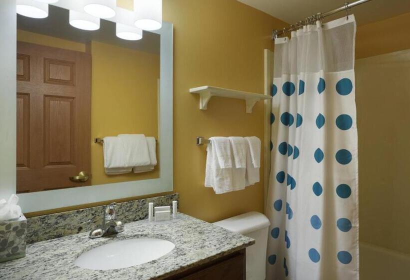 Люкс, Towneplace Suites Tampa North/i75 Fletcher