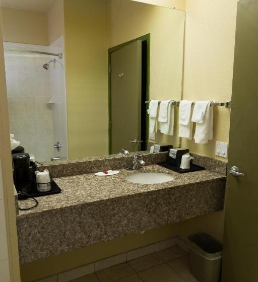 キングサイズベッドのスタンダードルーム, Red Lion Inn & Suites Iah Airport East