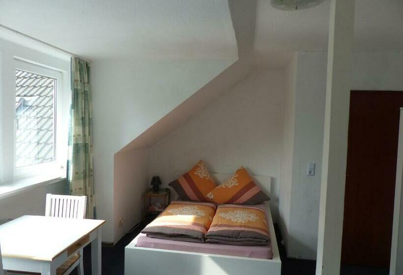 Номер Стандарт, Pension Ziemann