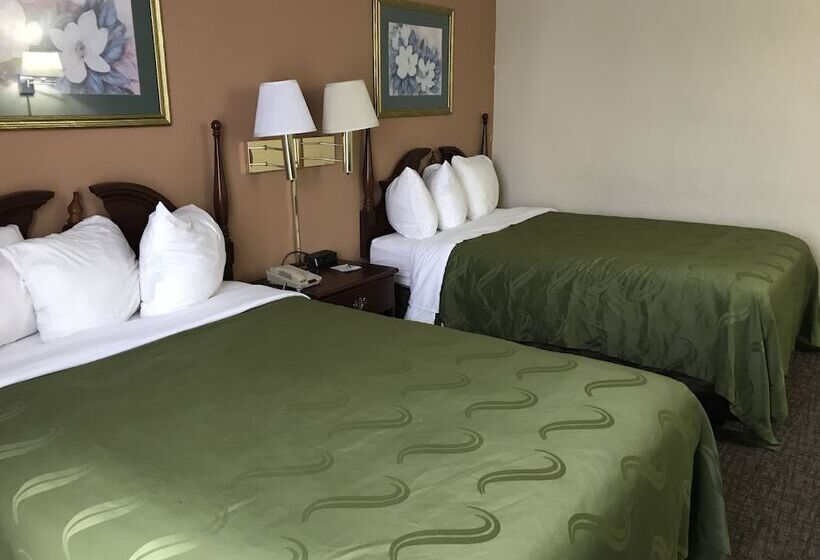 Номер Стандарт 2 Двуспальные Кровати, Fairbridge Inn & Suites Poconos