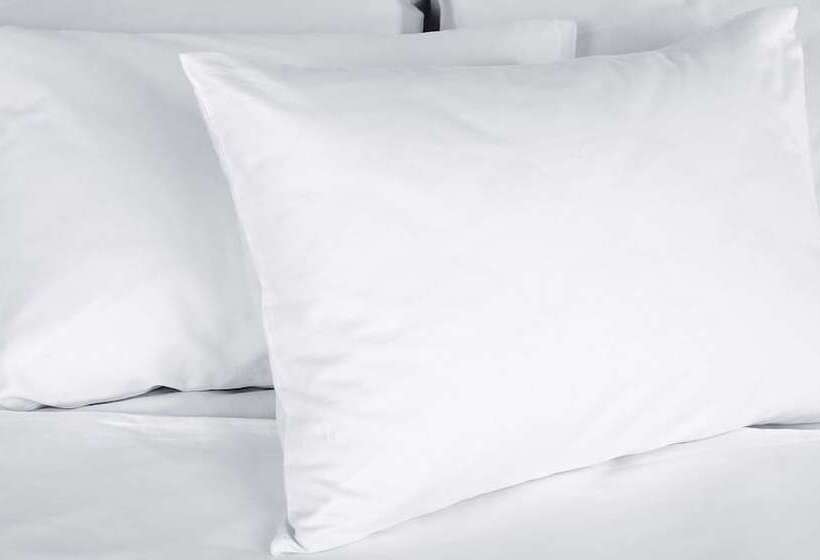 스탠다드 룸 더블 침대 2개, M Star Hotel Searcy