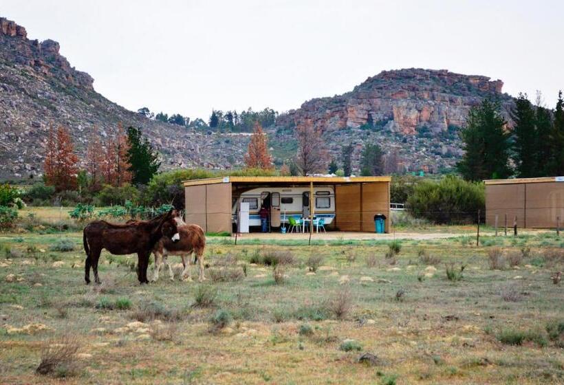 Номер Стандарт, Alpha Excelsior Guest Farm