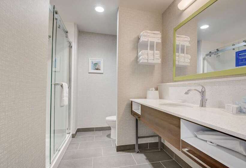 스탠다드 룸 킹사이즈 침대, Hampton Inn Latrobe