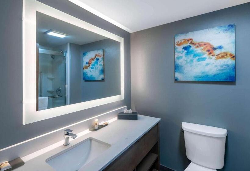 Номер Стандарт, La Quinta Inn & Suites By Wyndham Albany Ga
