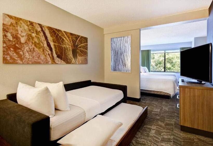 Люкс, Springhill Suites By Marriott Atlanta Kennesaw