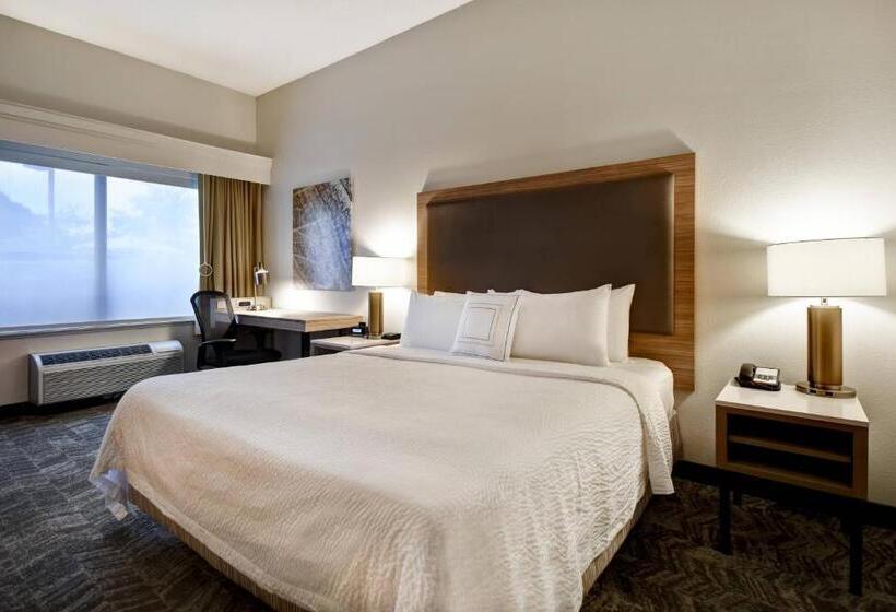 Люкс Кровать Кинг, Springhill Suites By Marriott Atlanta Kennesaw