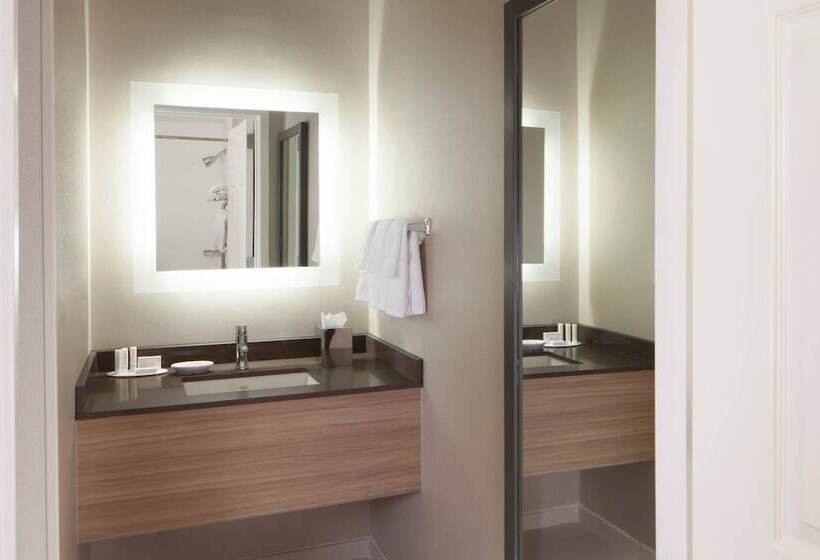 Люкс, Springhill Suites By Marriott Atlanta Kennesaw
