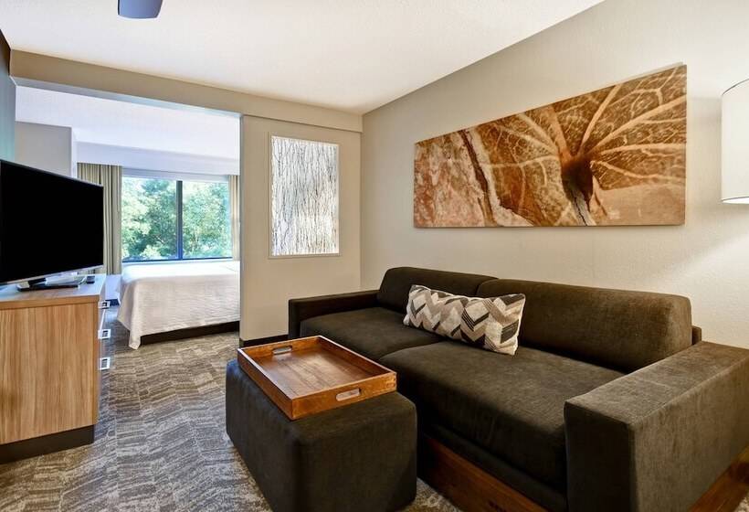 Люкс, Springhill Suites By Marriott Atlanta Kennesaw