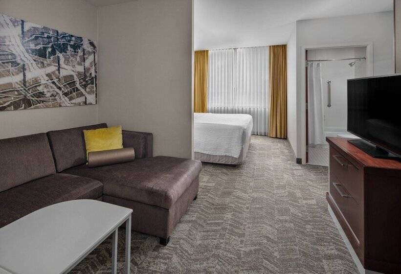 סוויטה, Springhill Suites By Marriott Chicago O Hare