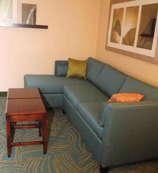 מיטת קינג בסוויטה, Springhill Suites Morgantown