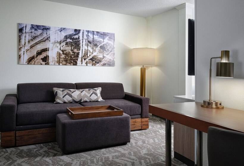 Suite, Springhill Suites Nashville Metrocenter