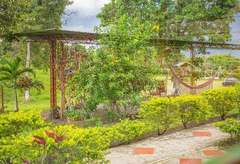 Номер Стандарт, Finca Hotel San Isidro