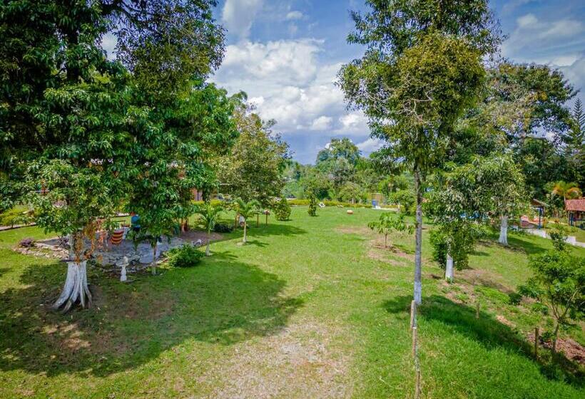 Номер Стандарт Трехместный, Finca Hotel San Isidro