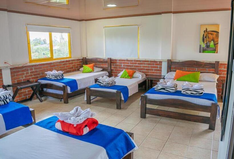 Четырехместный Номер Стандарт, Finca Hotel San Isidro