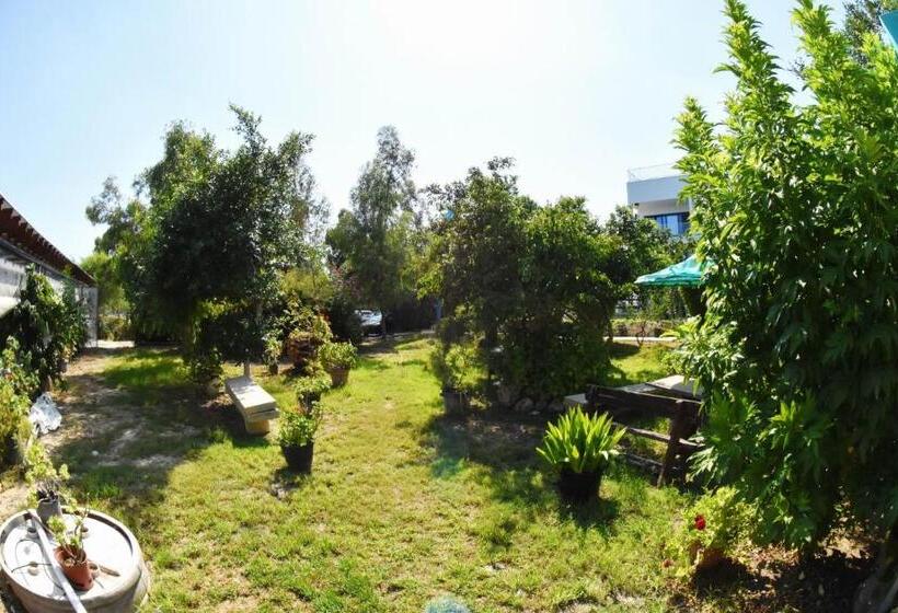 침실 1개 아파트, Governors Beach Panayiotis