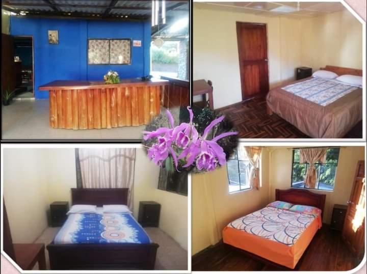 Номер Стандарт Индивидуальный, Residencial Valle Sagrado Vilcabamba