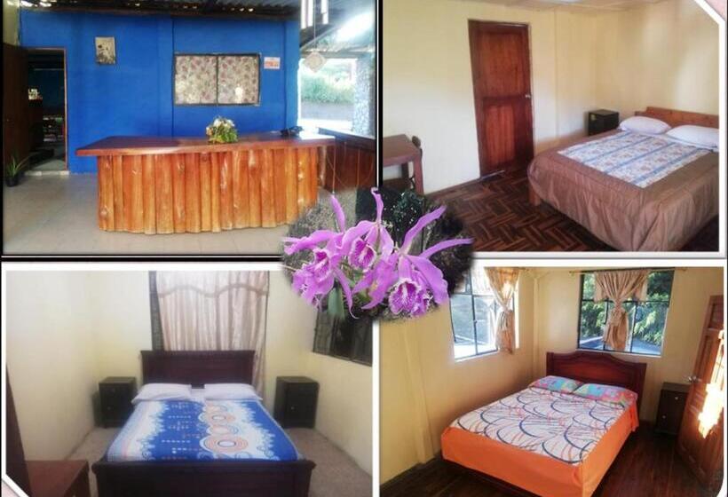 Номер Стандарт Совместная Ванная, Residencial Valle Sagrado Vilcabamba