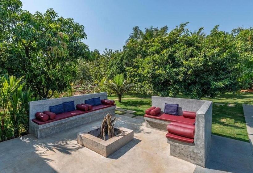 Вилла с 1 спальней и бассейном, Saffronstays Casa Manga, Karjat   Pet Friendly Pool Villa Near Nd S Film World And Saltt