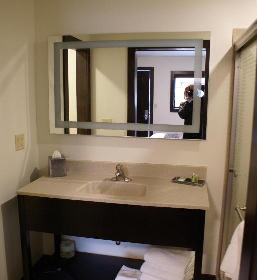 Номер Стандарт, Boarders Inn & Suites By Cobblestone Hotels   Syracuse