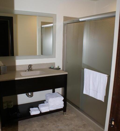 Номер Стандарт, Boarders Inn & Suites By Cobblestone Hotels   Syracuse
