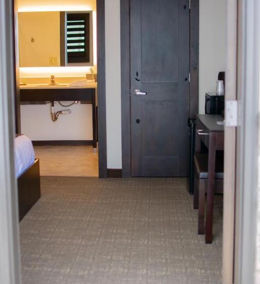 Номер Стандарт Кровать Кинг Адаптированный для Инвалидов, Boarders Inn & Suites By Cobblestone Hotels   Syracuse