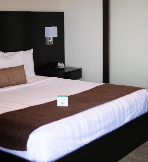 Номер Стандарт Кровать Кинг Адаптированный для Инвалидов, Boarders Inn & Suites By Cobblestone Hotels   Syracuse