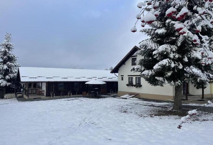 اتاق استاندارد, Pensiunea Vis Alpin Belis