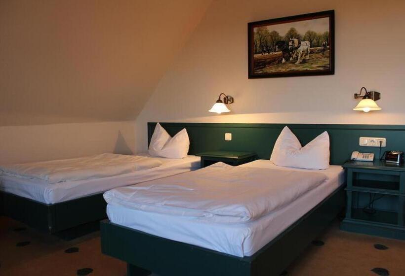 Quarto Estandar, Müritz Landhotel Grüner Baum