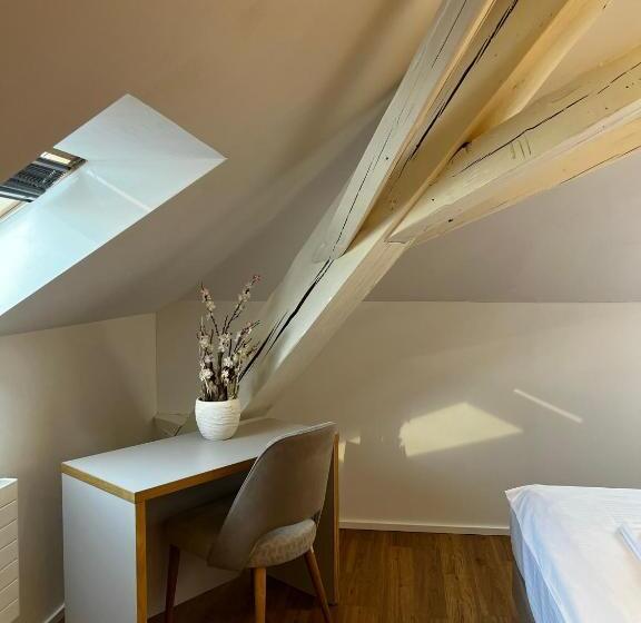 Номер Deluxe, Smartroom Hotel Rössli Hunzenschwil