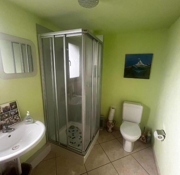 Standard room with outdoor bath, Bed&breakfast In Flüh