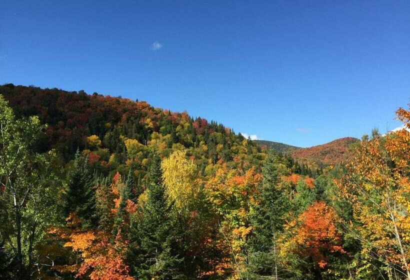 스탠다드 룸 킹사이즈 침대, Lodge Nature Laurentides