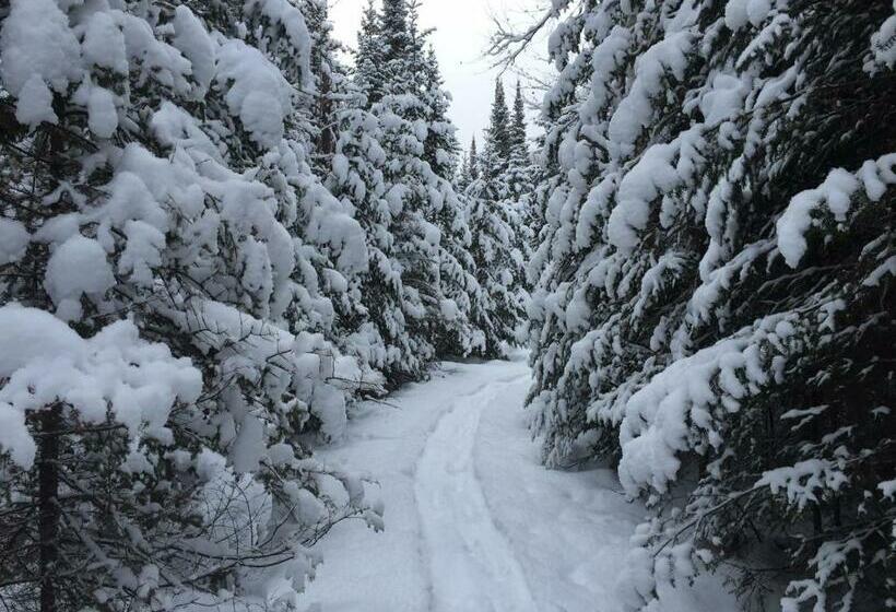 Стандартный Номер Кровать Кинг, Lodge Nature Laurentides