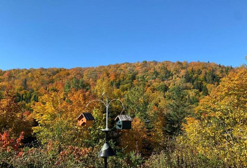 스탠다드 룸 킹사이즈 침대, Lodge Nature Laurentides