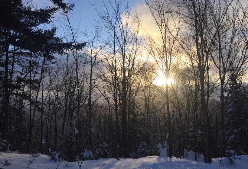 스탠다드 룸 산 전망, Lodge Nature Laurentides