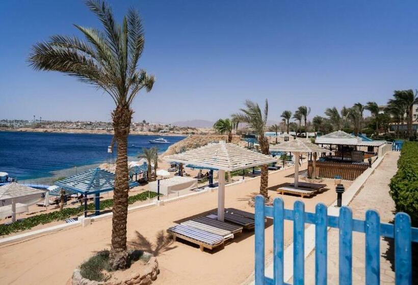 اتاق استاندارد با چشم‌انداز دریا, Grand Oasis Resort