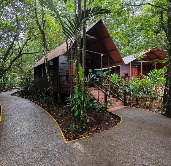 Номер Стандарт, Evergreen Lodge