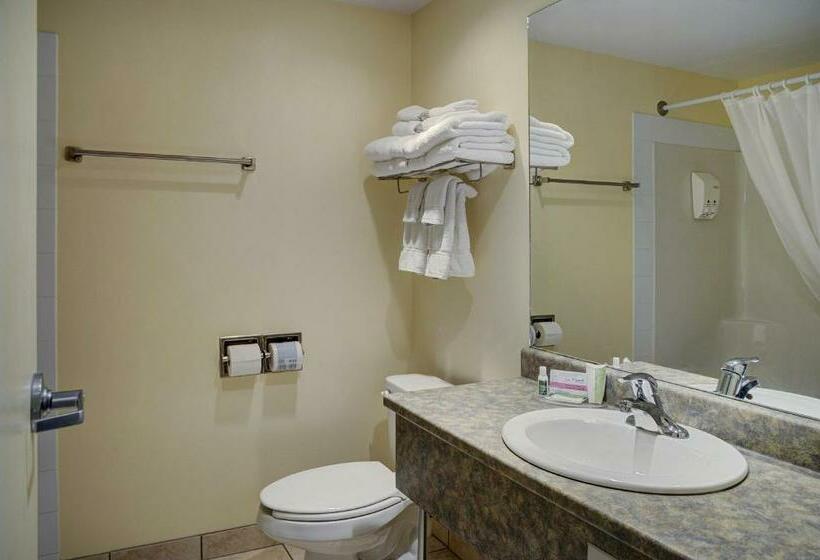 Полулюкс, Lakeview Inns & Suites  Okotoks