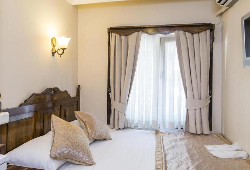 Economy Yhden Hengen Huone, Naz Wooden House Inn