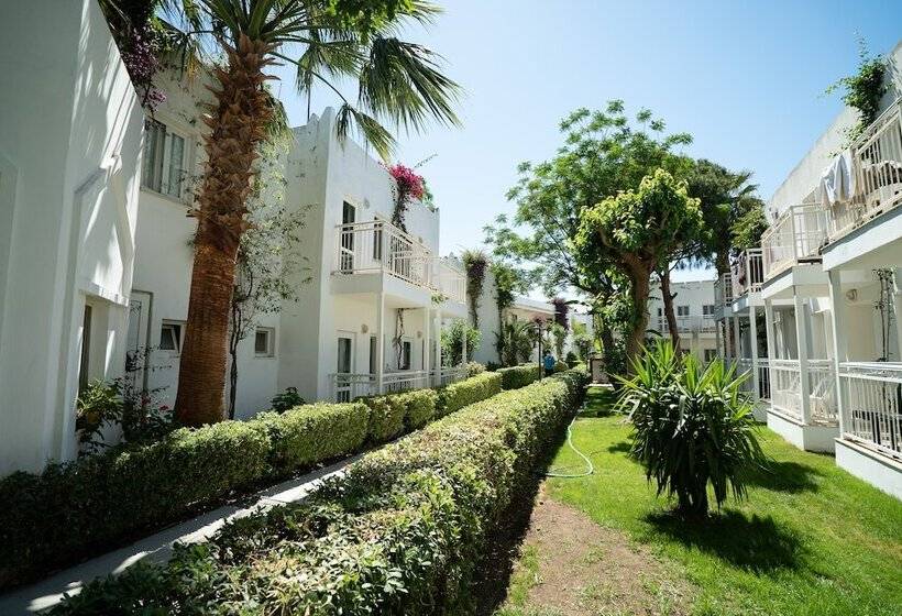 Номер Стандарт, Petunya Beach Resort