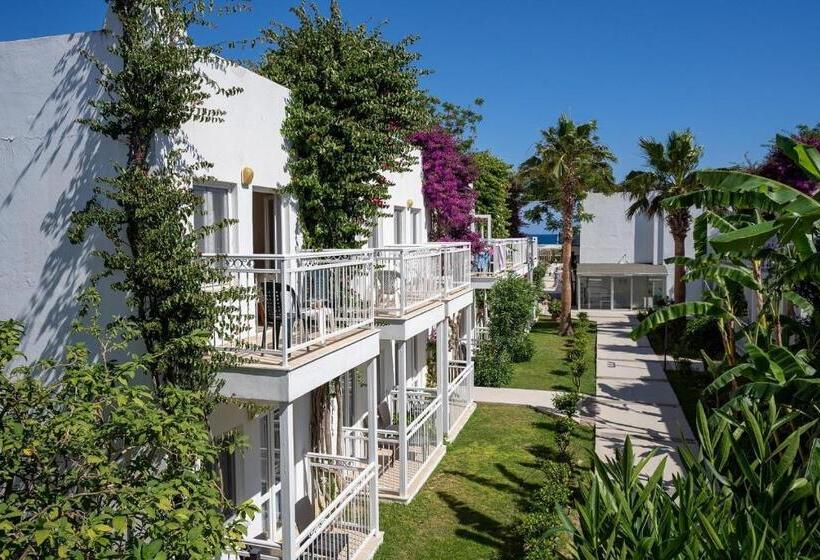 Семейный Номер, Petunya Beach Resort