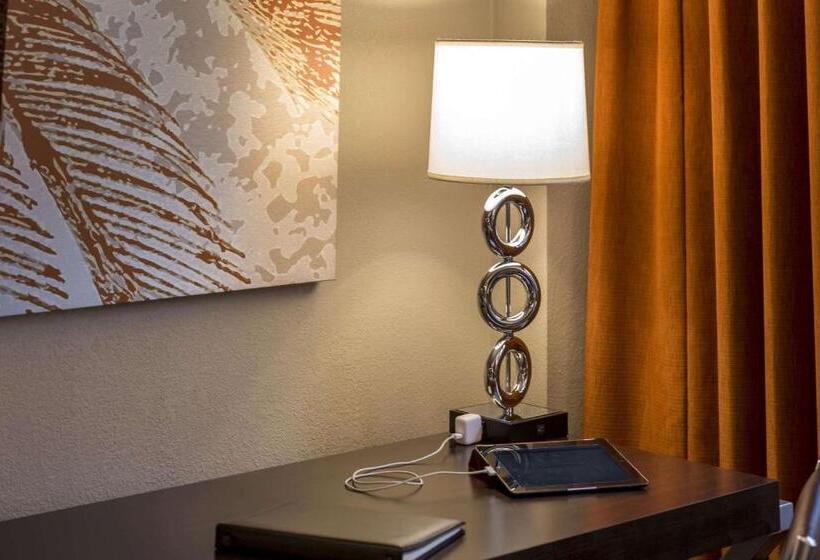 스탠다드 룸 더블 침대 2개, Sonesta Miami Airport