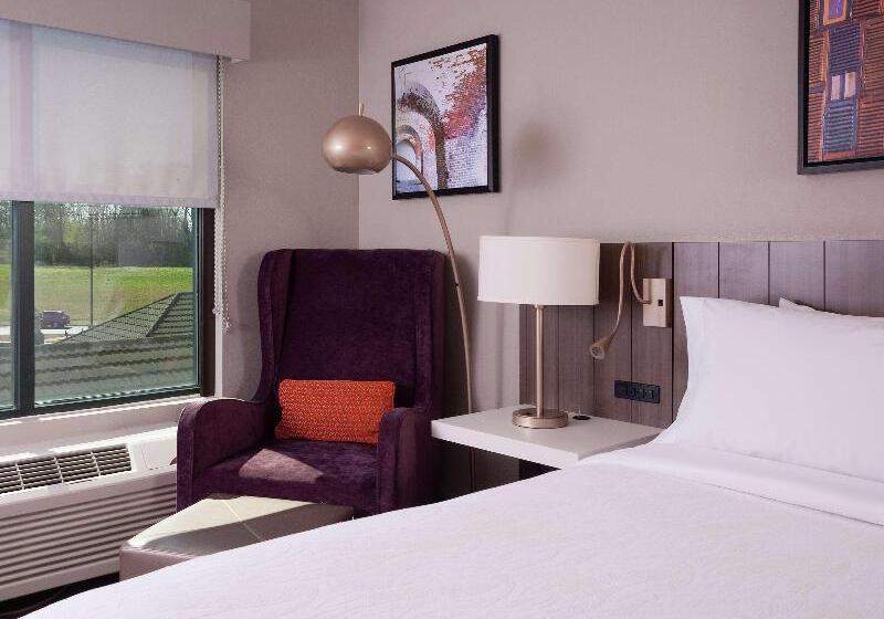 Стандартный Номер Кровать Кинг, Hilton Garden Inn Atlanta Airport/millenium Center
