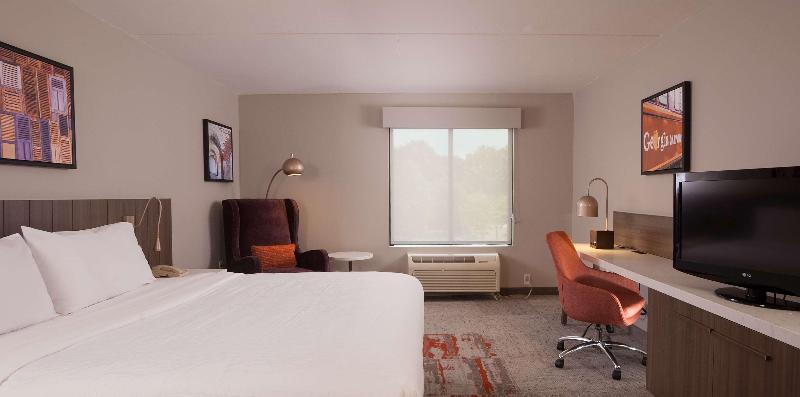 Стандартный Номер Кровать Кинг, Hilton Garden Inn Atlanta Airport/millenium Center
